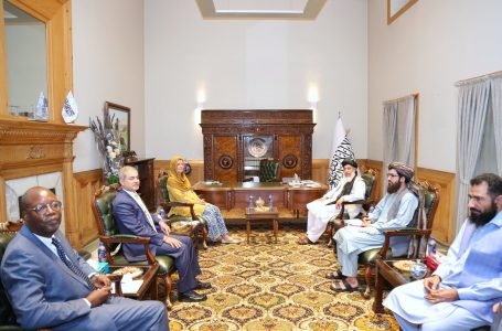 Today, United Nations Deputy High Commissioner for Refugees, Ms. Kelly T. Clements & accompanying delegation called on the Deputy Foreign Minister, Alhaj Sher Mohammad Abbas Stanekzai, in Storay Palace.
