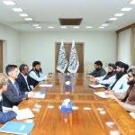 IOM-Chief of Staff Calls on Deputy Foreign Minister