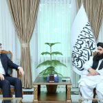 د بهرنیو چارو وزیر سره د ترکیې بشري بنسټ مشر وکتل